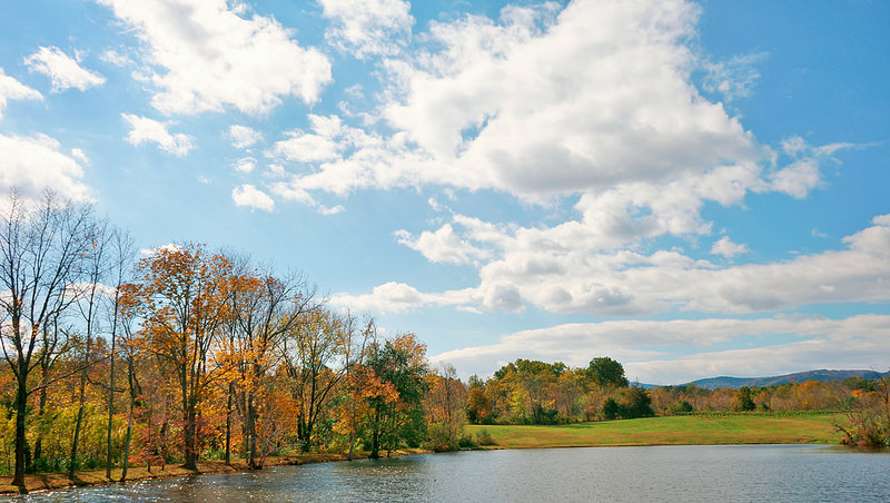 Illustration for article titled Fall colors